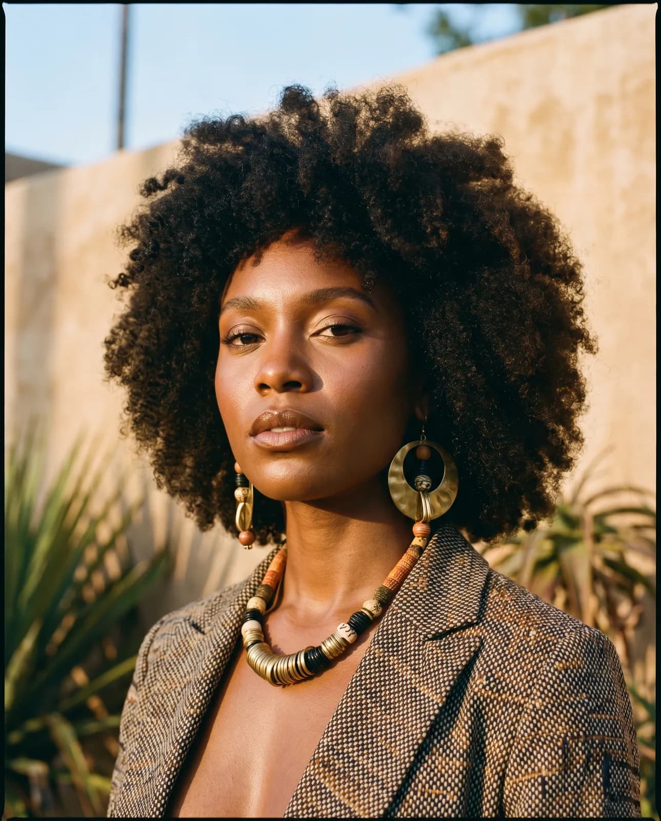 African Diaspora Portrait