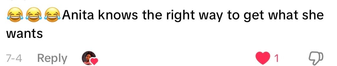 Viewer comment on the Anita series